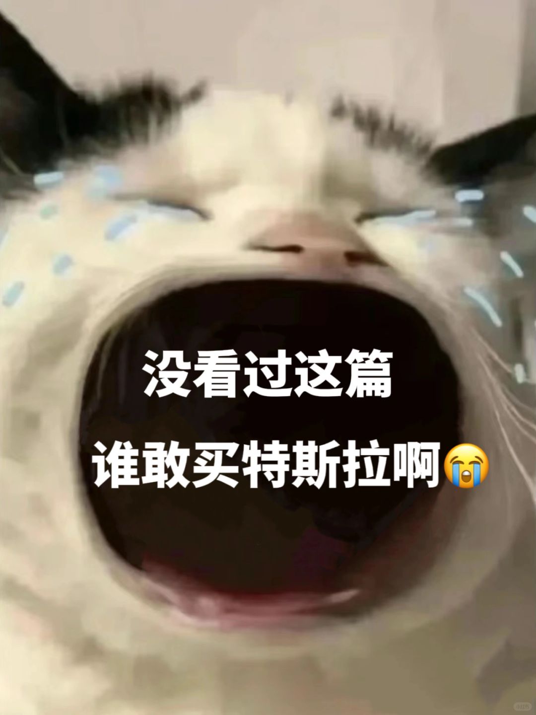 没看过这篇‼️买特斯拉真的太亏了❌