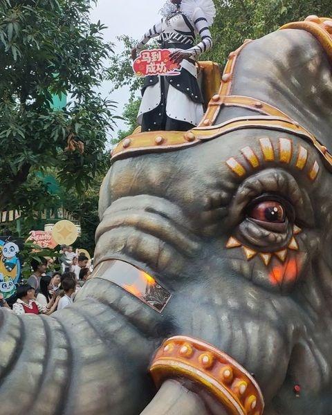敏捷看过长隆野生动物世界的巡游吗？
📍广州 广州长隆野生动物世界
每一次去长隆