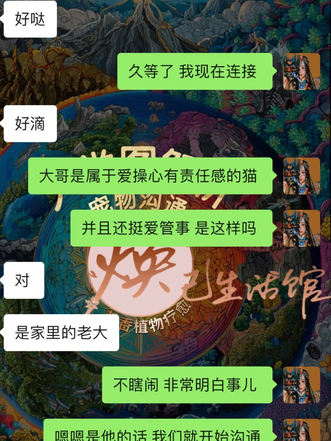 宠物沟通｜宠物沟通的真相每天很多