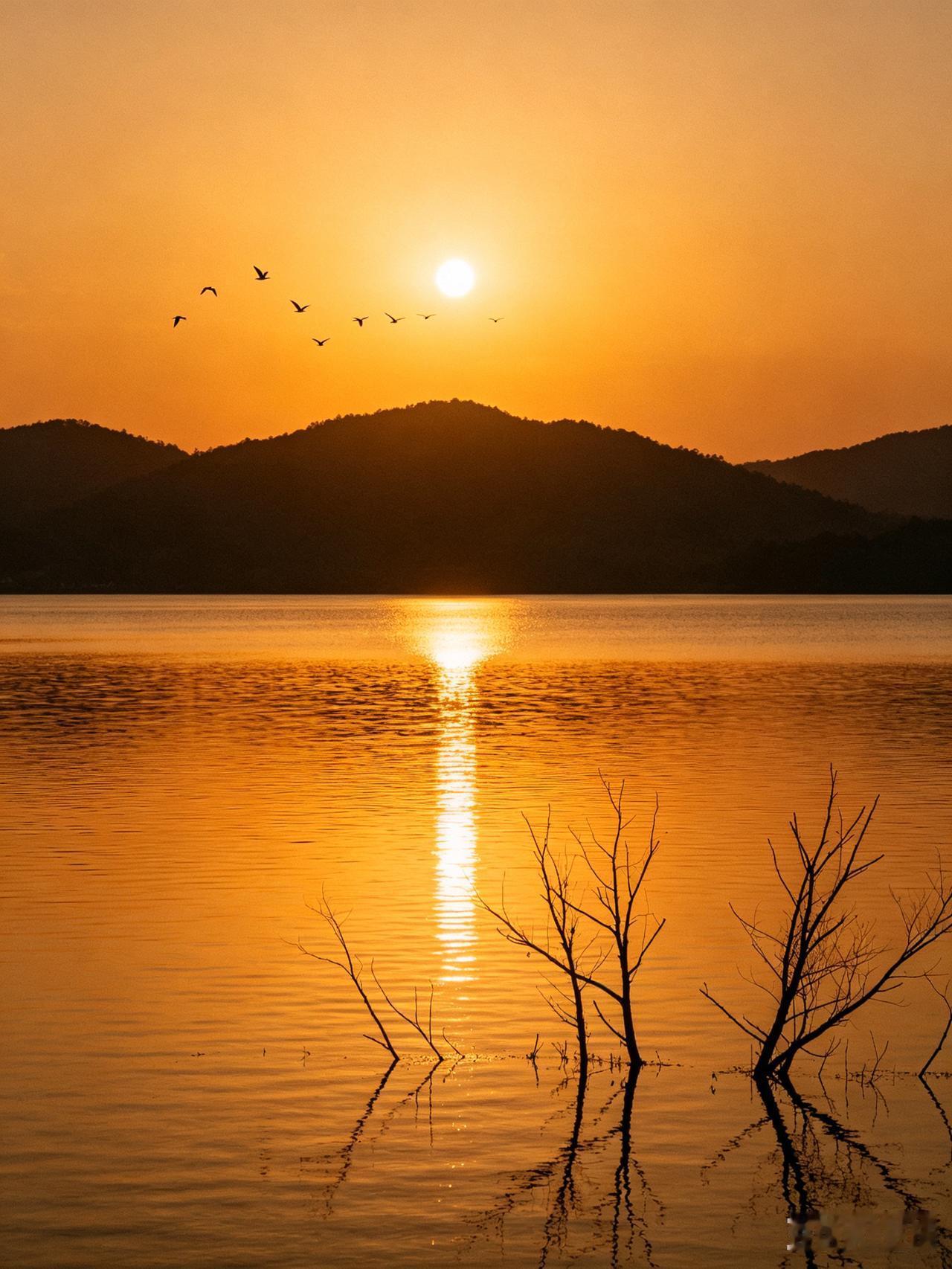 秋日生活打卡季湖面映着一整片夕阳，远处的山成了剪影，这一刻很温柔。
