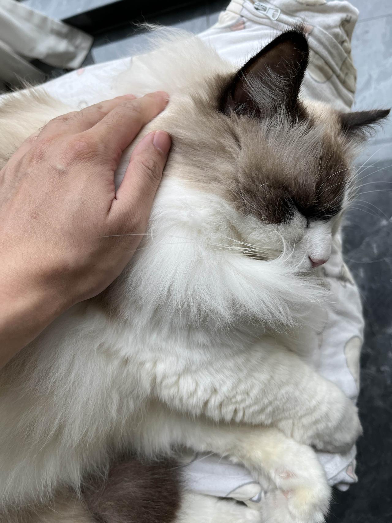 四川省乐山市市中区