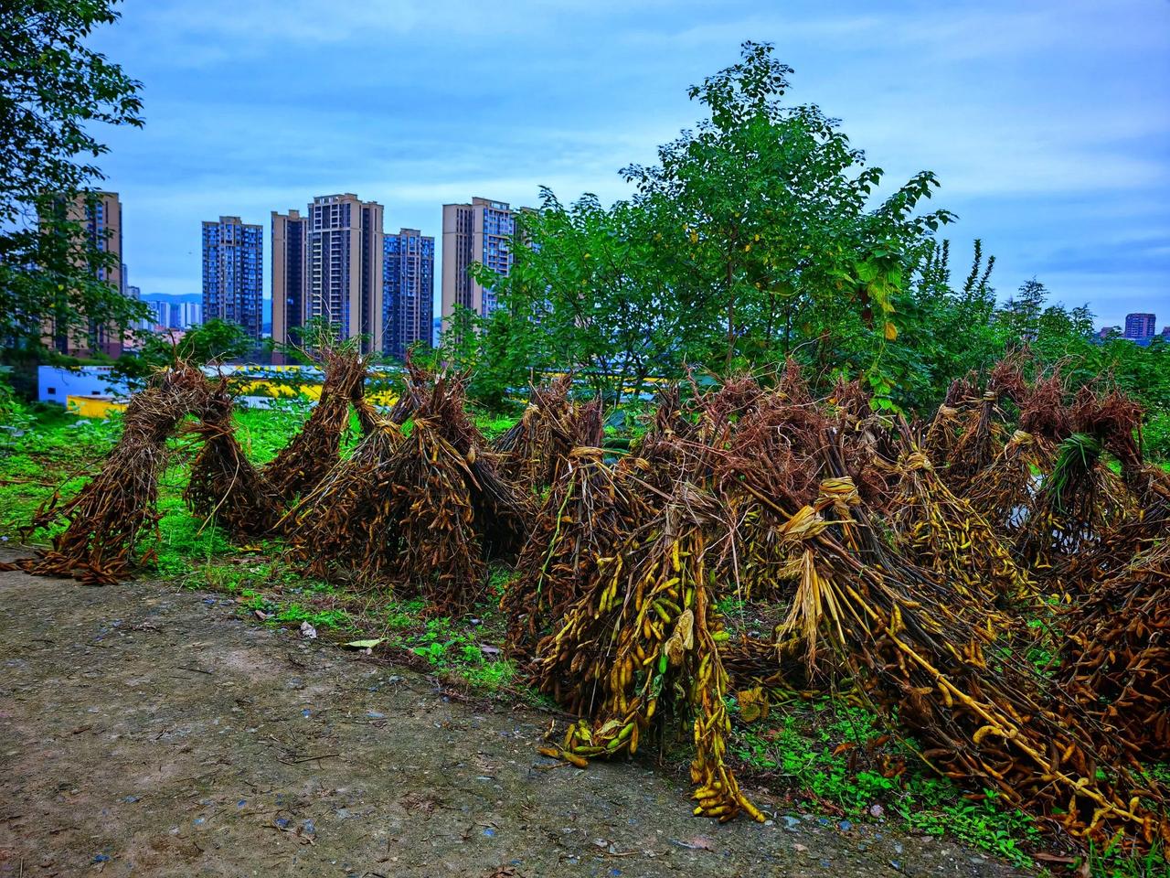 远是“矗”，近似“耸”，立立粒粒皆辛苦。