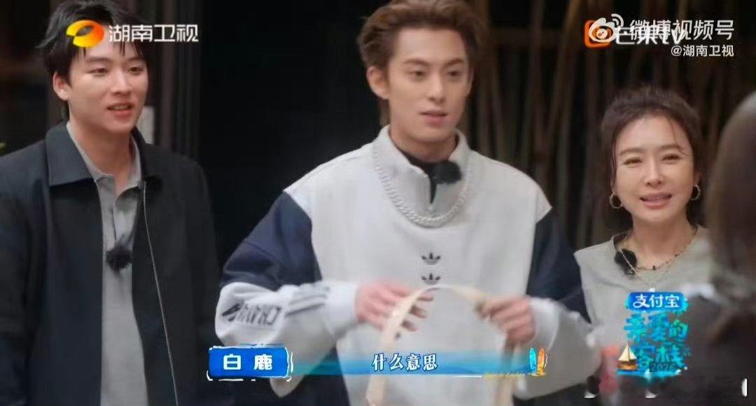 白鹿真帮手假客人 亲爱的客栈 表面神秘顾客，实则全能帮手，白鹿这身份秒被拆穿 