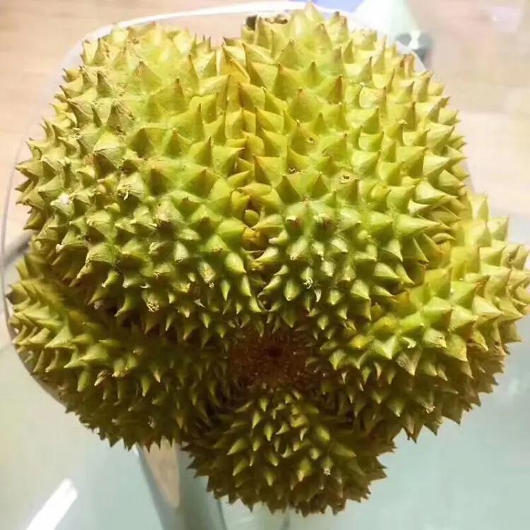 今年什么情况，榴莲一斤不到十块钱，以前想都不敢想。
现在超市榴莲九块九一斤，榴莲