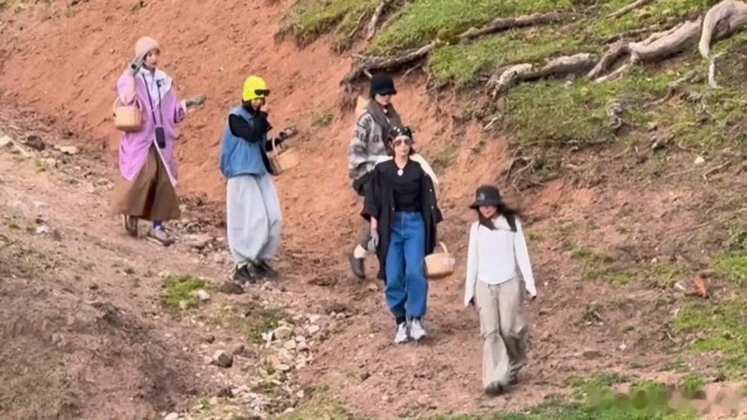 向野四美有西天取经那味儿了向野的我们山林寻鲜的治愈旅途，配上怀旧取经BGM，搞笑