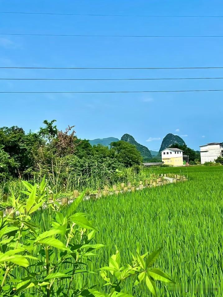 钱真的非常重要。
50块钱可以买一天的菜钱。300块钱可以交一个月的水电费。70