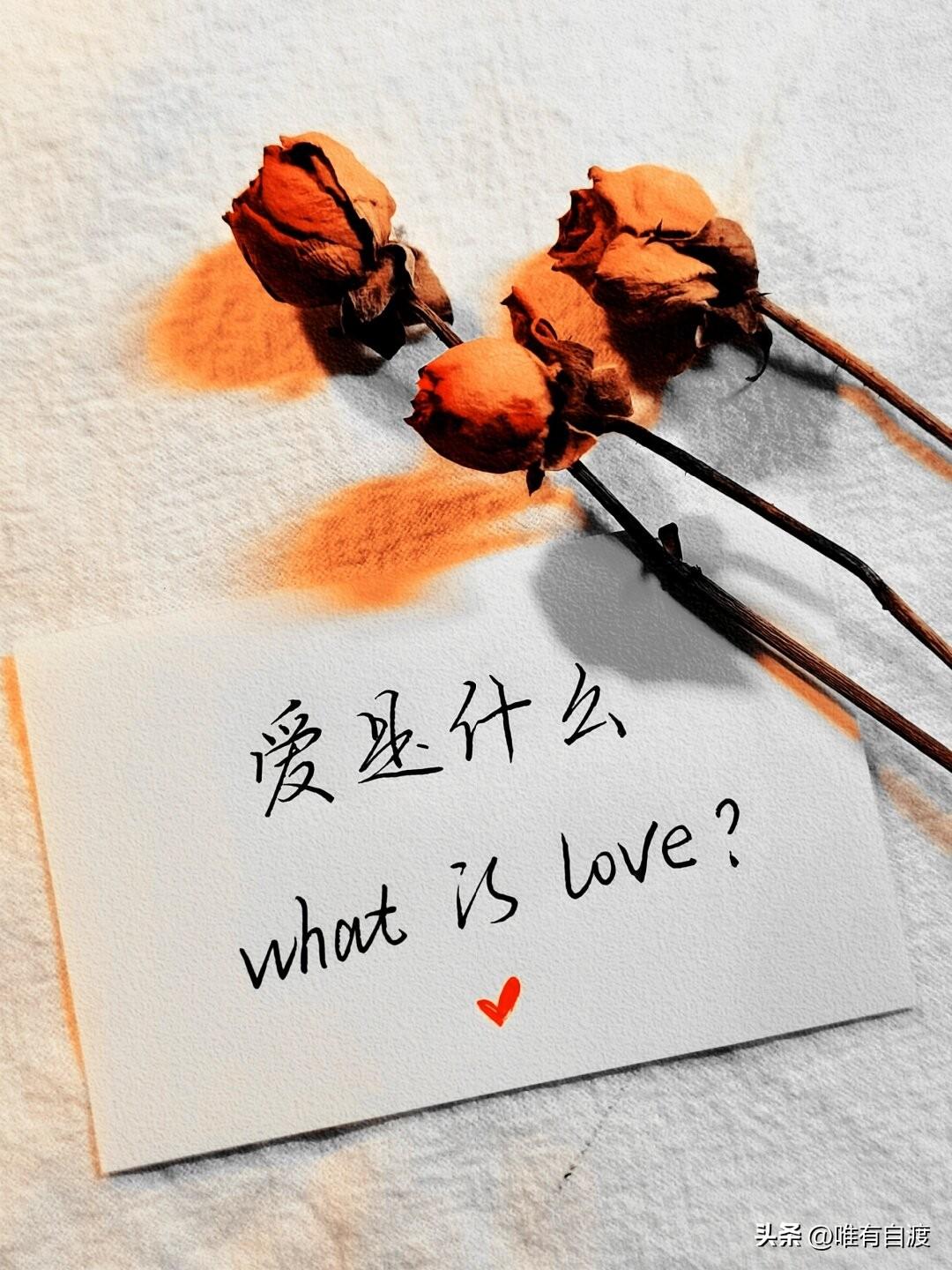 都是爱情无价，可当爱被金钱财富砸倒时，爱还无价吗？而爱一旦有了价格，那爱还是爱嘛