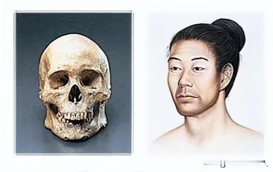 日本祖先真相大白：不是徐福后代，DNA检测结果让日本人无法接受，根据基因研究，日