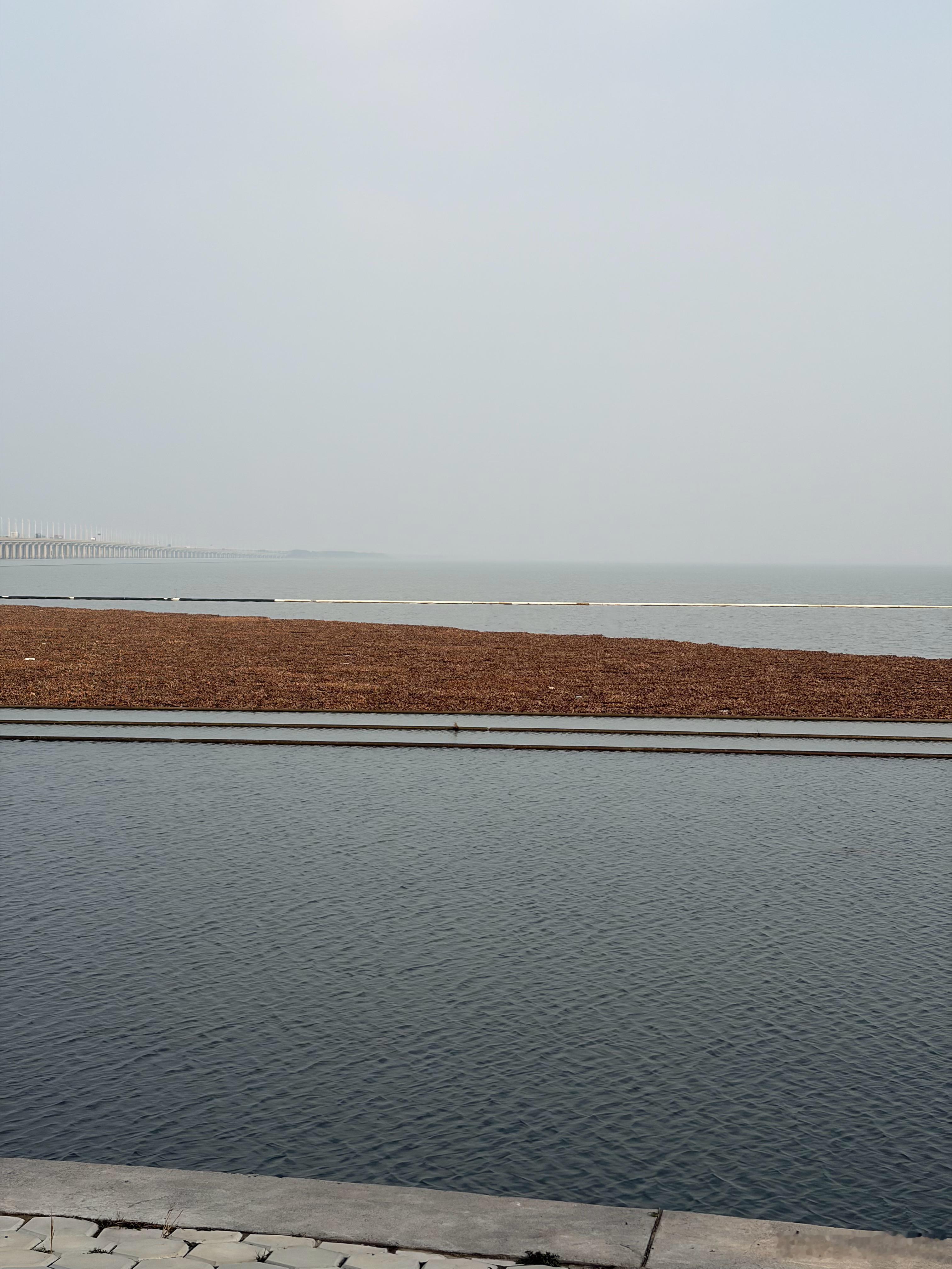 出差去常熟基地 路过滆湖服务区 修的真不赖 还能看湖景 