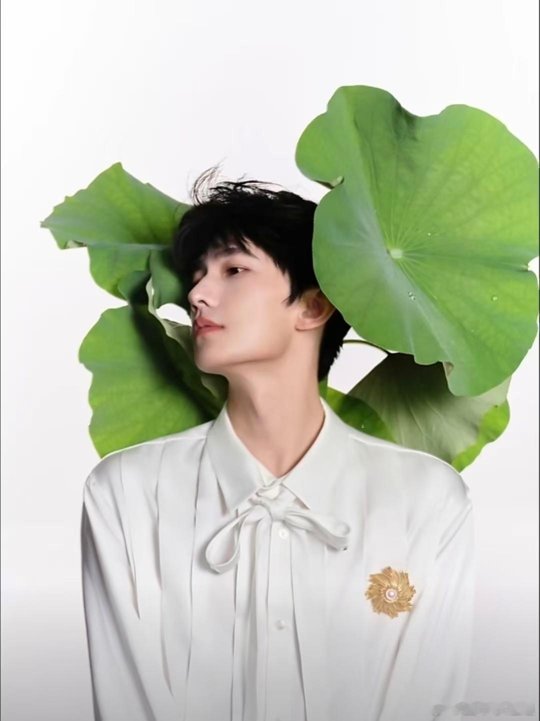 杨洋陪你走过春夏秋冬杨洋工作室顶级出装是杨洋冷暖光影交替流转，杨洋陪你走过春夏秋