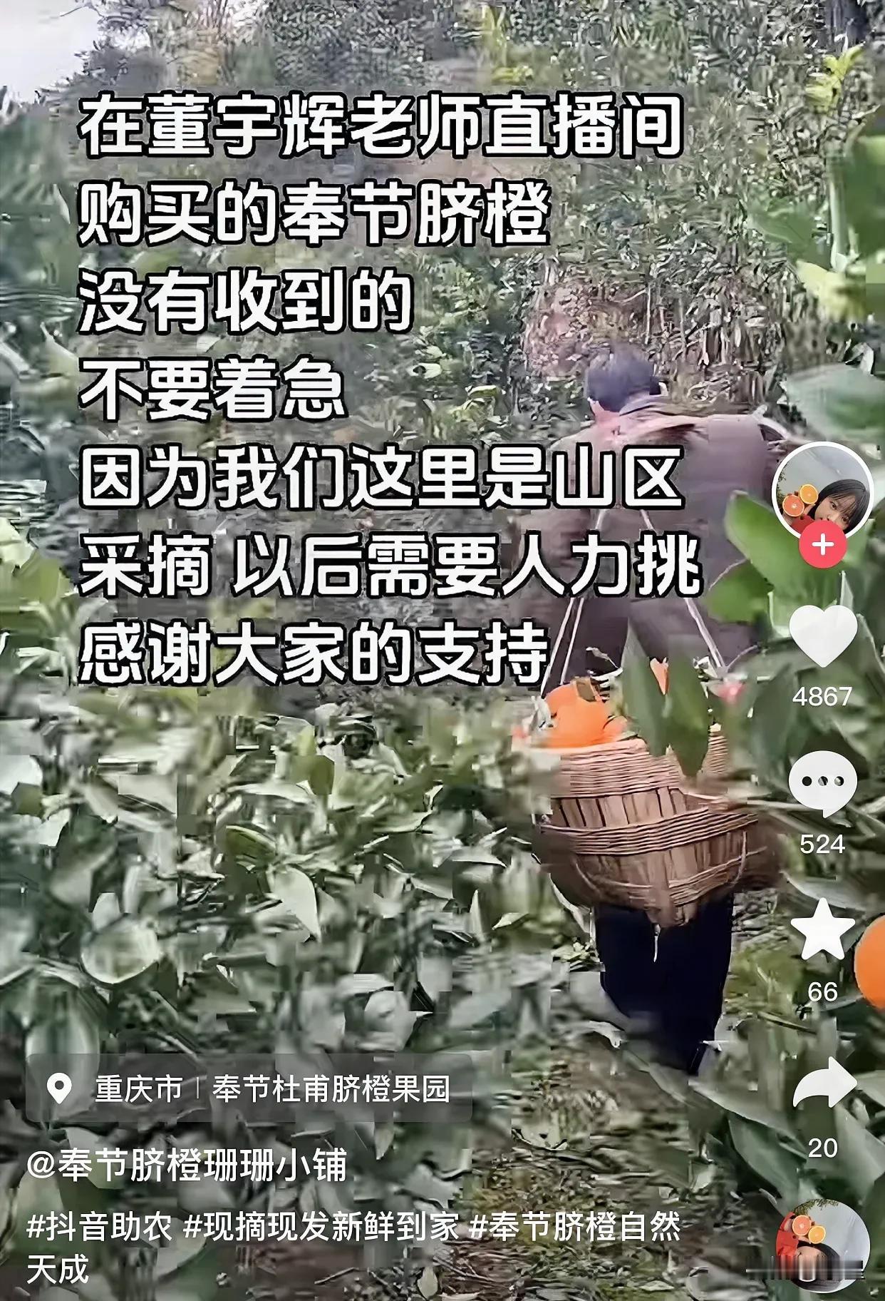 刚刷到一位奉节果农的视频让大家别急
他们的橙子都是一担担挑下山的，有点慢
终于知