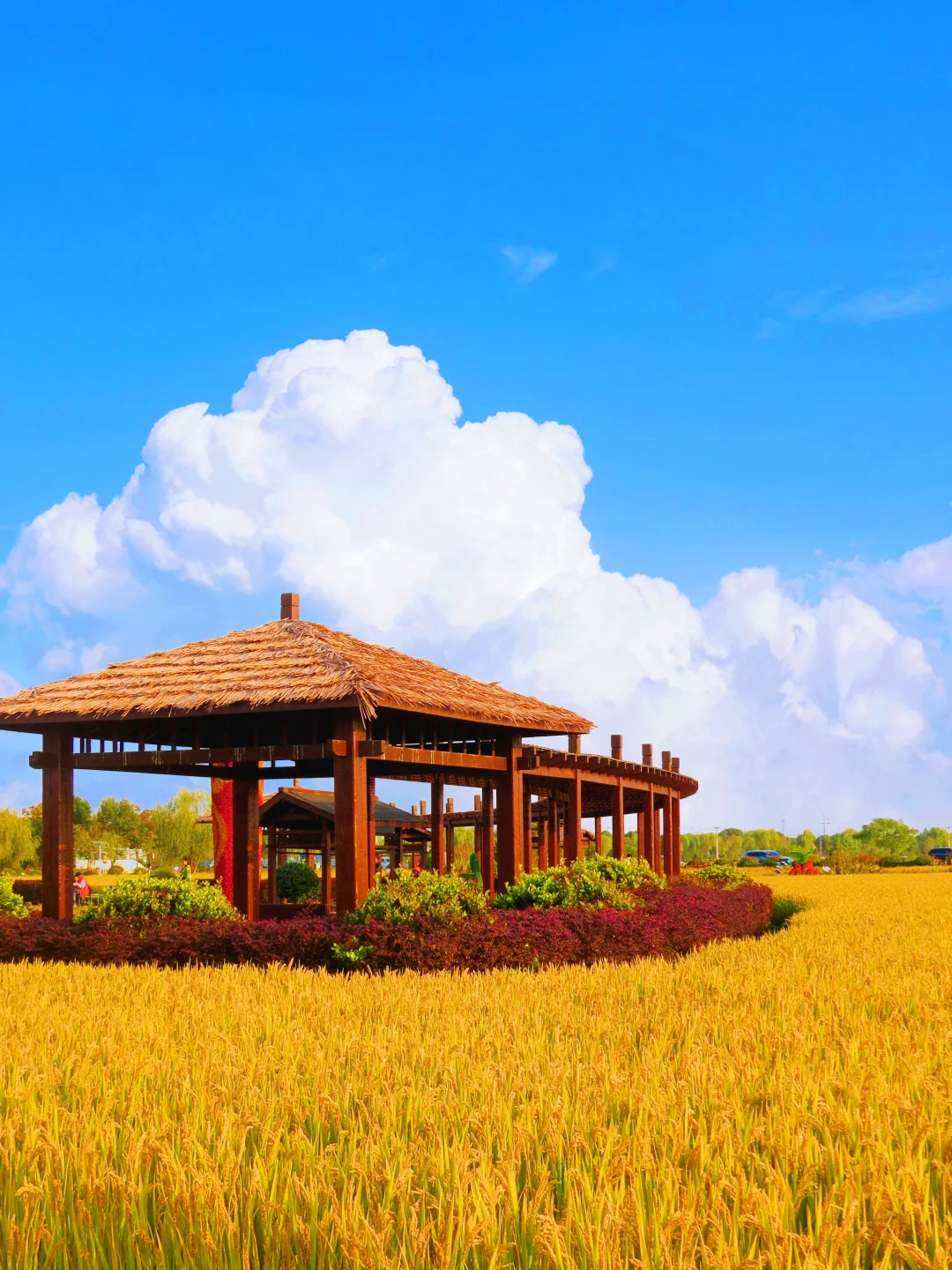 南京人嘴太严🤣藏着这么好玩的地方也不说