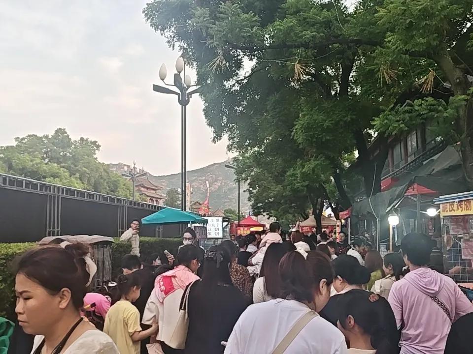 白虎山庙会，人真多，平日里，连云港街上没几个人，白虎山庙会是响当当的品牌。每天晚