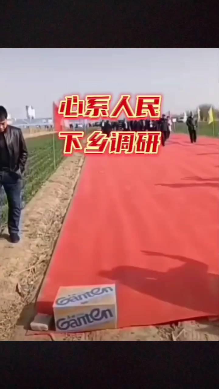 心系人民，下乡调研。