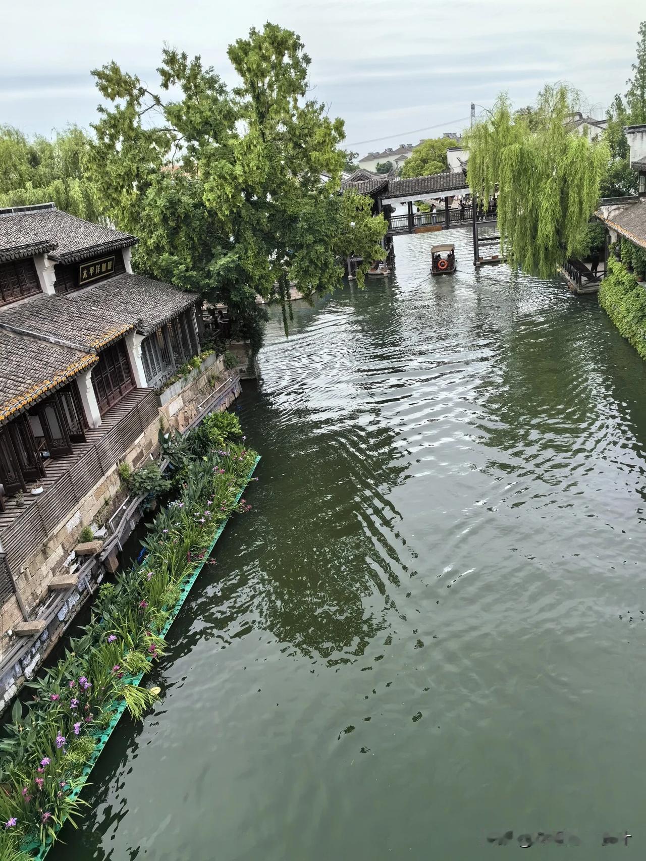 早上好！从日常小事可以看出一个人的格局，向格局高的人学习，把格局低的人当做自己的