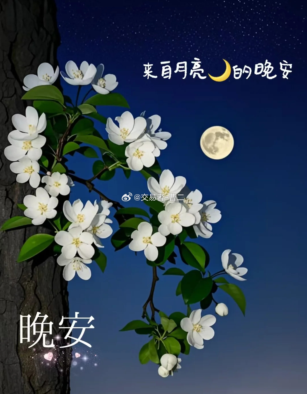 抱歉朋友们，今天临时有约，所以今日没有策略更新。老曹现在才到家，准备收拾一下休息