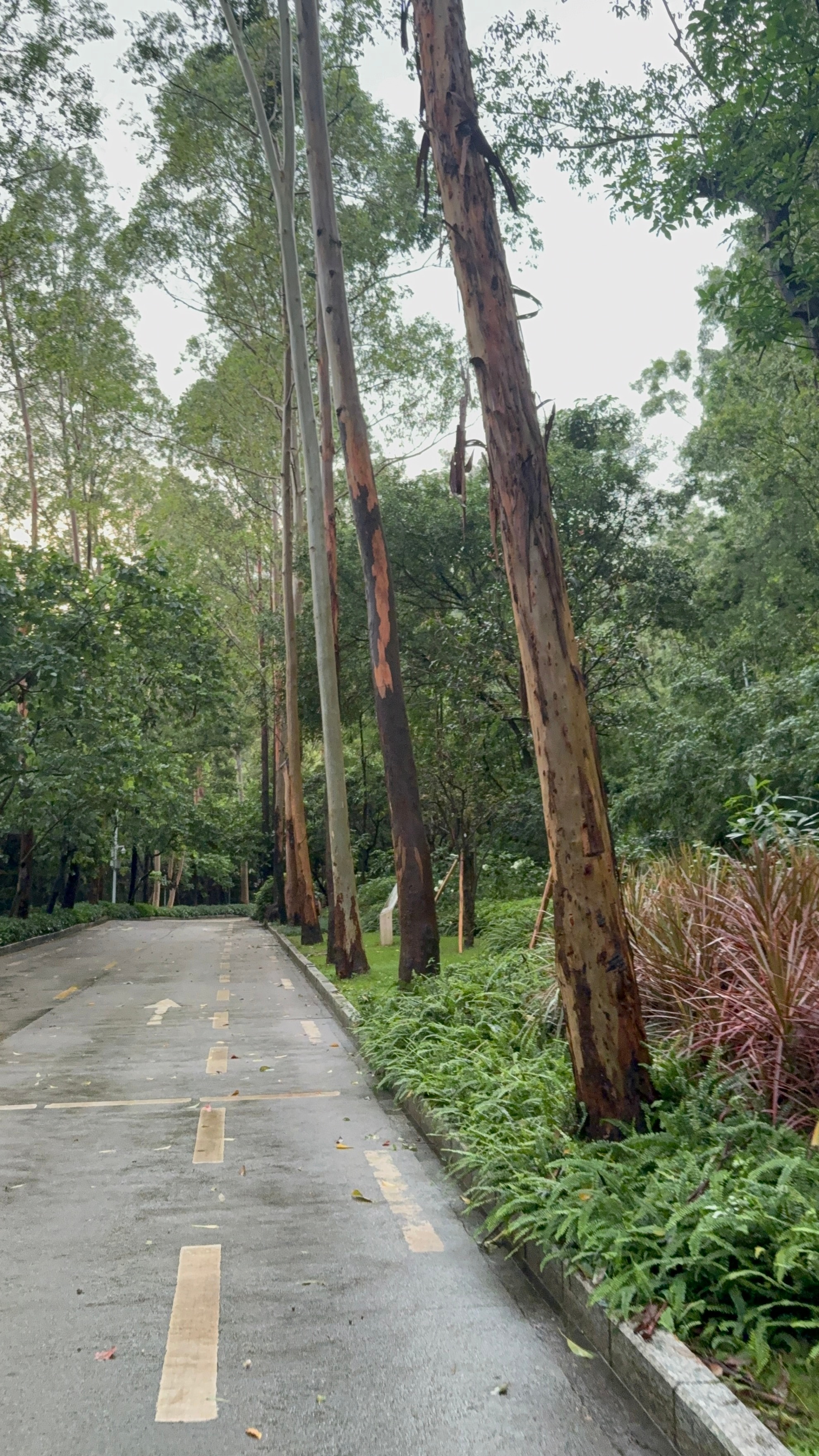 总得有人默默地为她们努力甚至发声，这很稀疏平常。。 