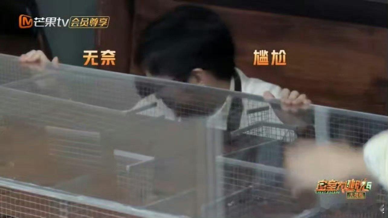 #火树球都觉得你故意的#火娃出场，一球难求！咱就是说这很难不相信不是故意的哈哈哈