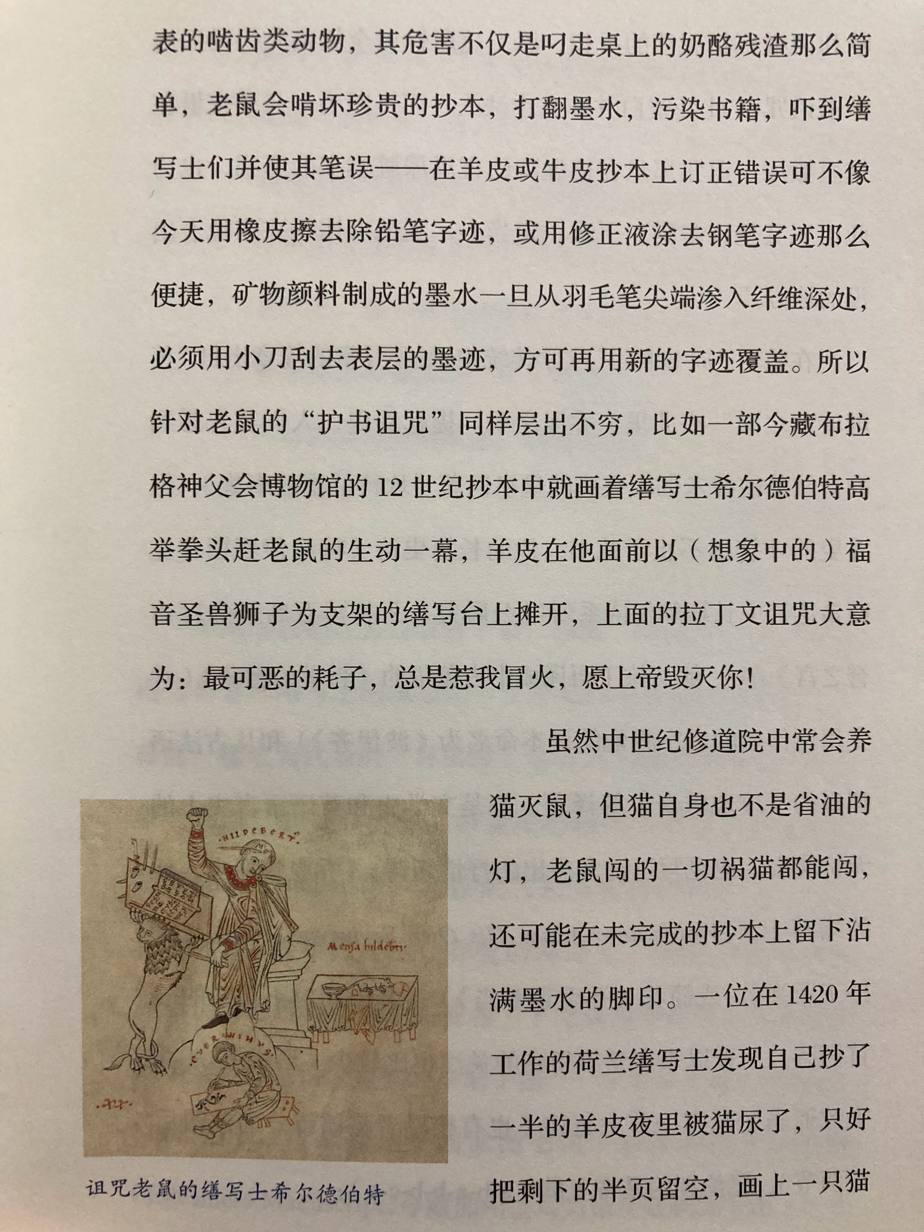 猫猫能有什么坏心思呢