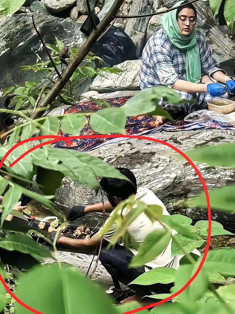 太糟心了！

这事看得我气不打一处来，秦岭可是咱们的中央水塔、国家重点生态保护区
