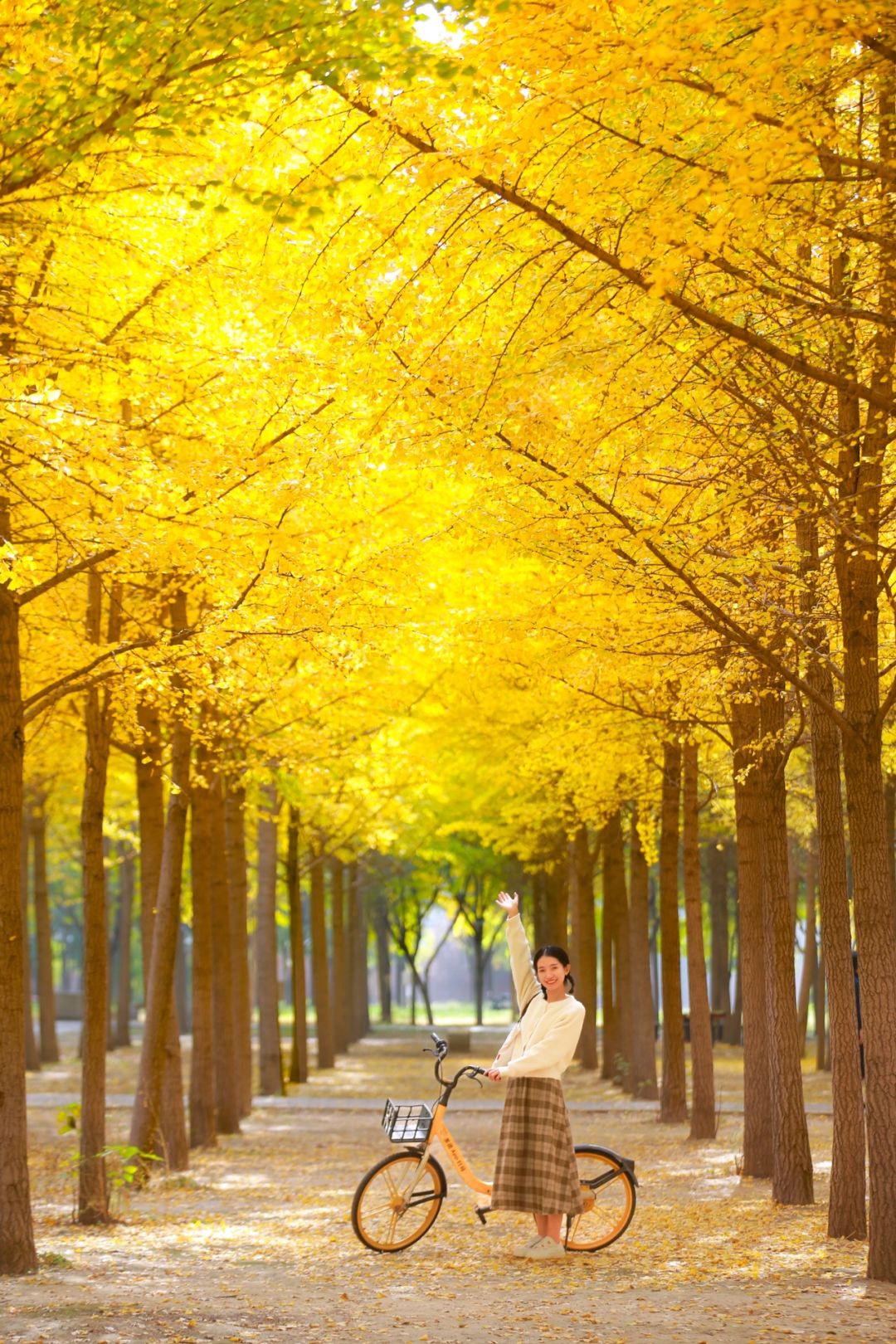 11.4北京四环可骑行赏秋🍁公园❗️人少好看