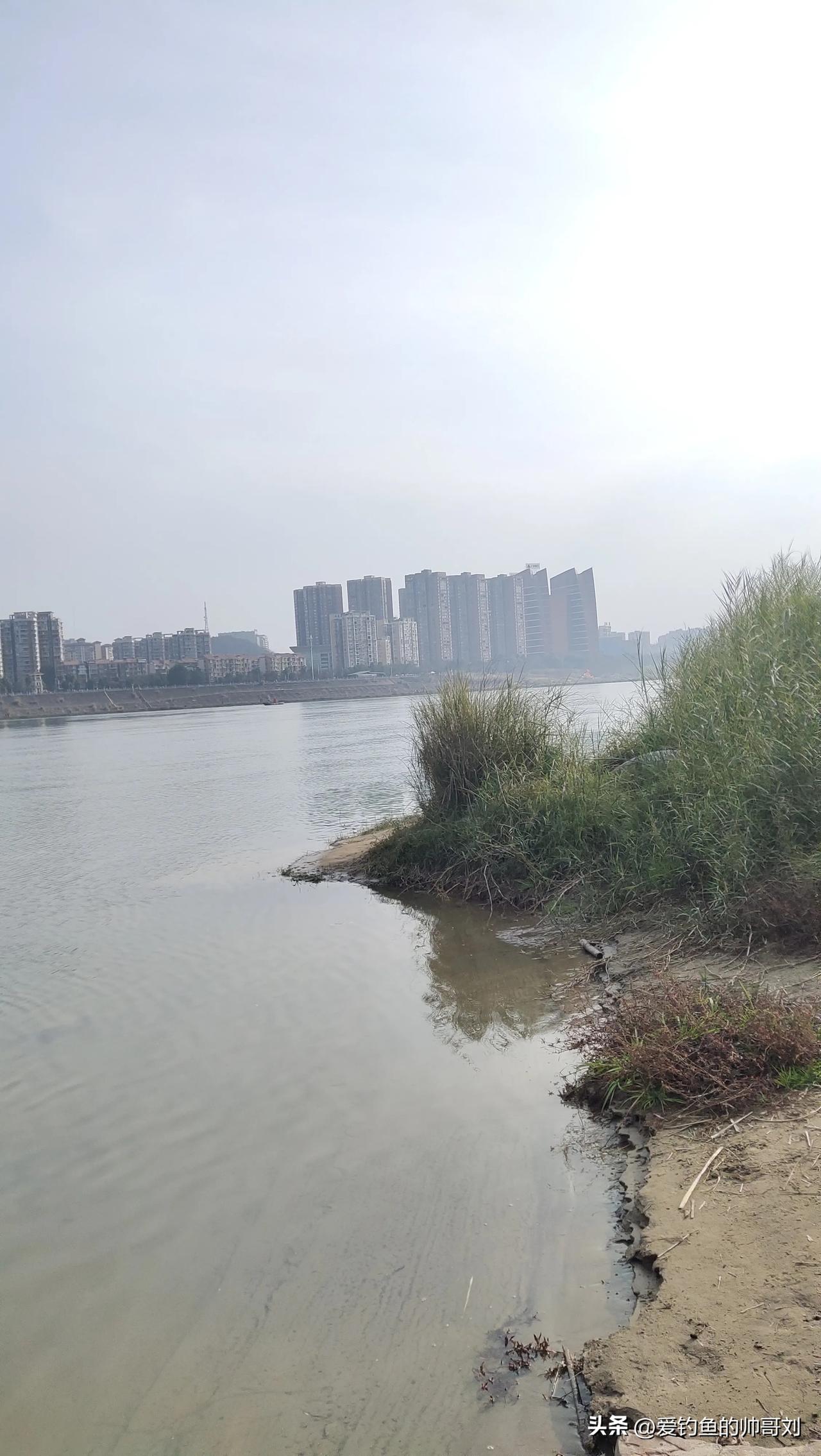 江上楼台的倒影在水中，鱼影也随之摇曳，这是一种极致的宁静与美妙。就像诗词里描绘的