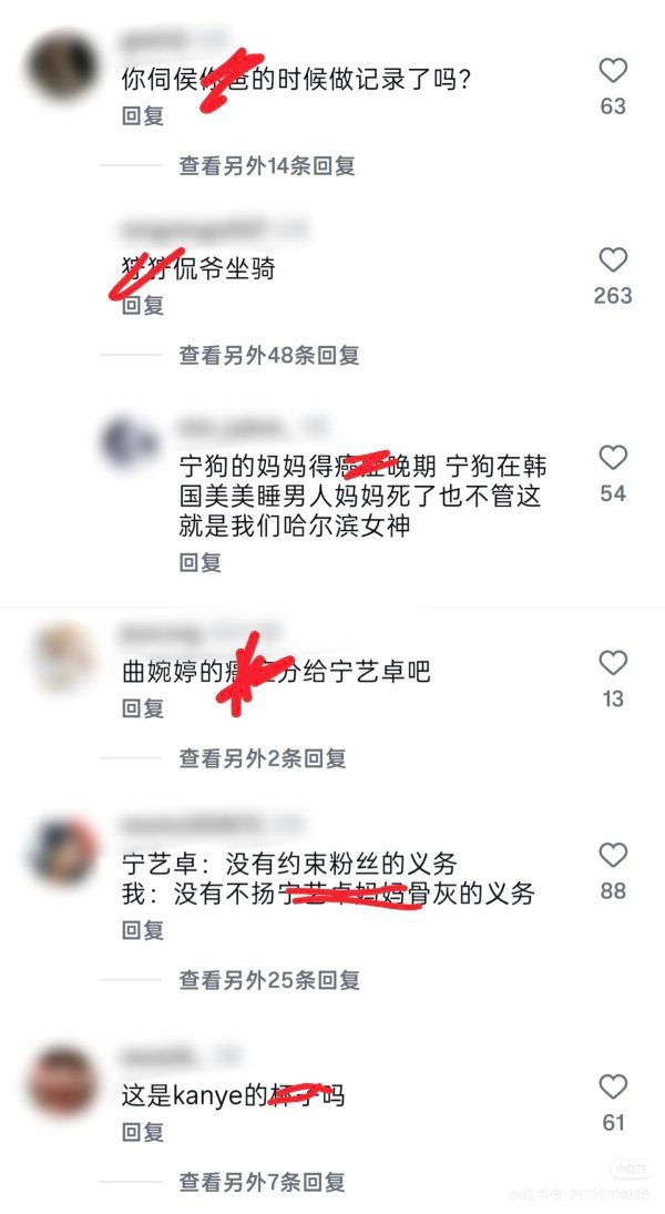 好恶毒的话...宁艺卓本人真的没做错什么啊 这样做是不是太过分了 