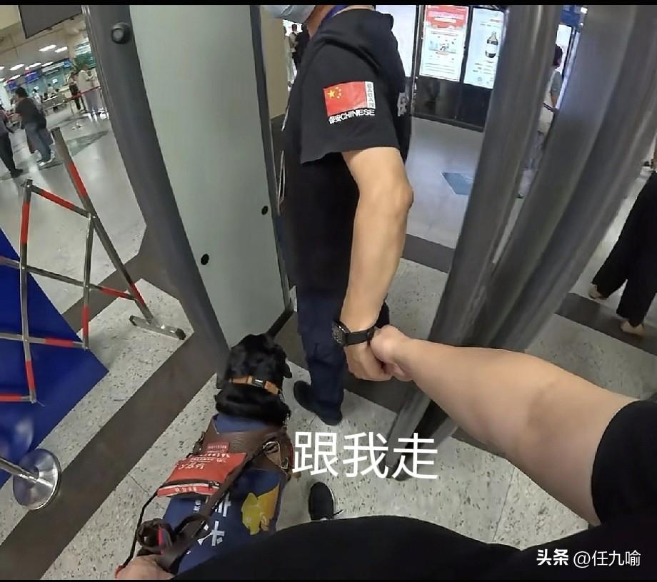 湖北，一位盲人带着导盲犬进医院，结果被工作人员拦住，说狗不能进，就在盲人不知所措
