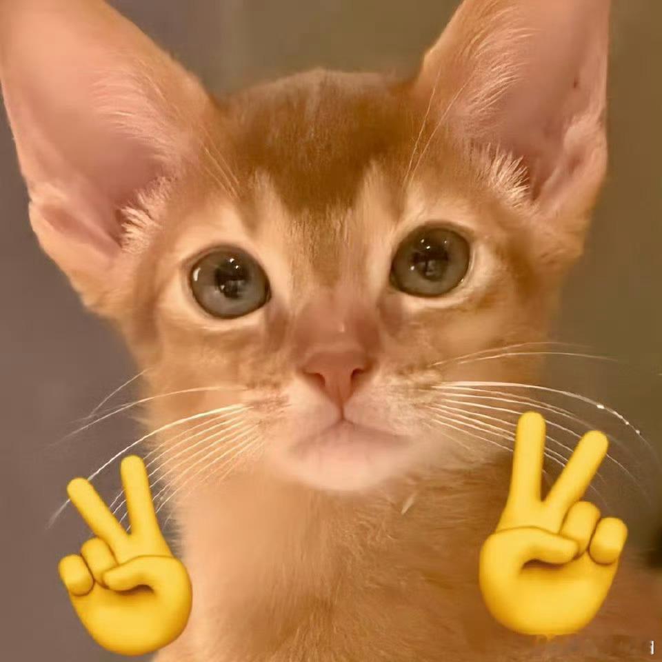 超话大赏🔮梓渝未来可期🔮新人演员梓渝 “有人千方百计想要压垮你，但总有人用青