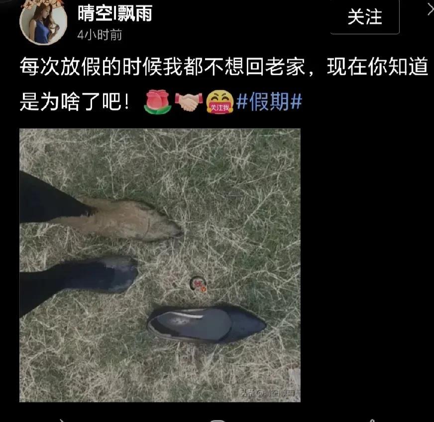 这是哪来的驴蹄子[捂脸]对臭美者的无情暴击[泪奔]笑得我肚子疼#跑在美景里#