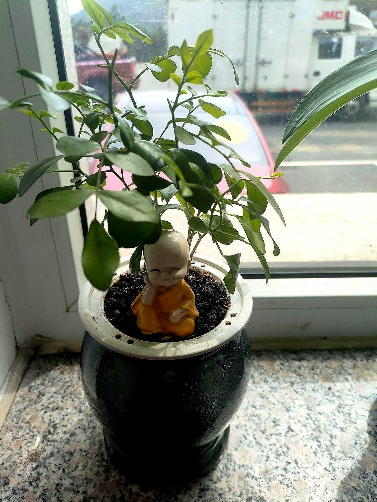 考研成绩一出来，宿舍静得连撕胶带都像在割心！
六个人，四个没考上，瞬间活出四种人