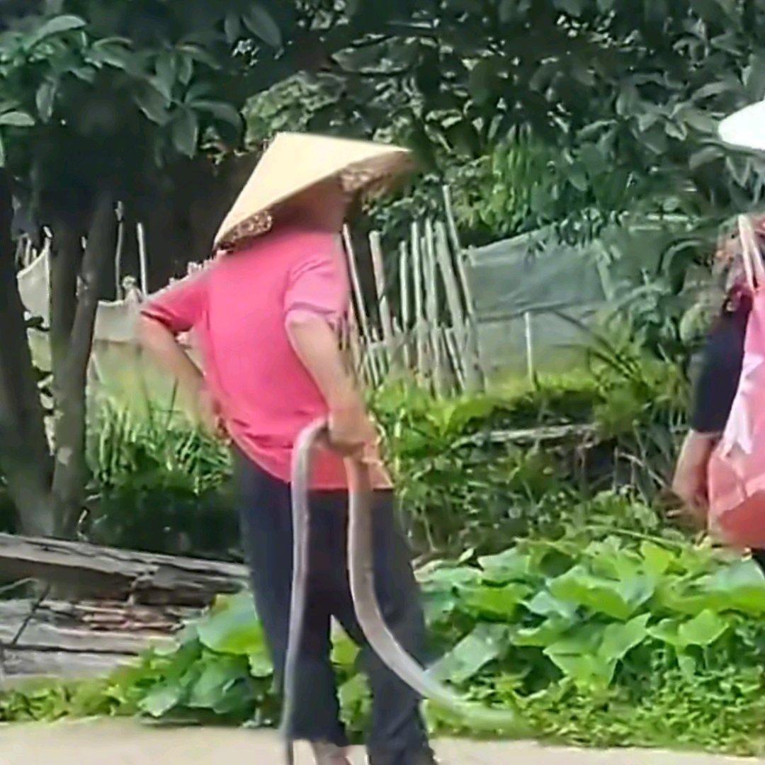 大爷拎蛇跟拎根葱一样轻松注意安全 西安·华严寺