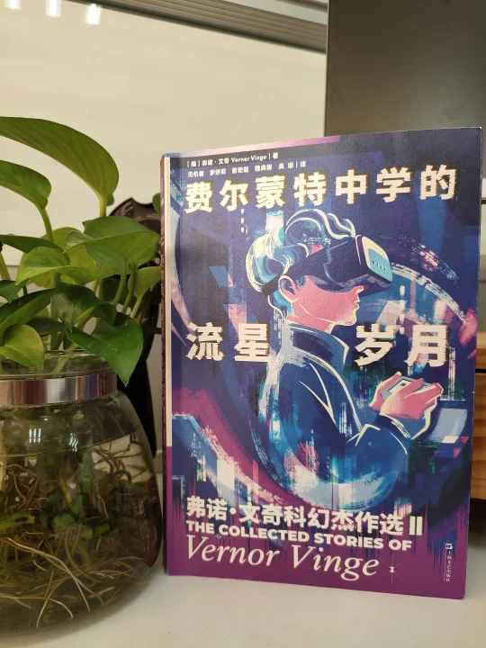 费诺·文奇先生的超前思维