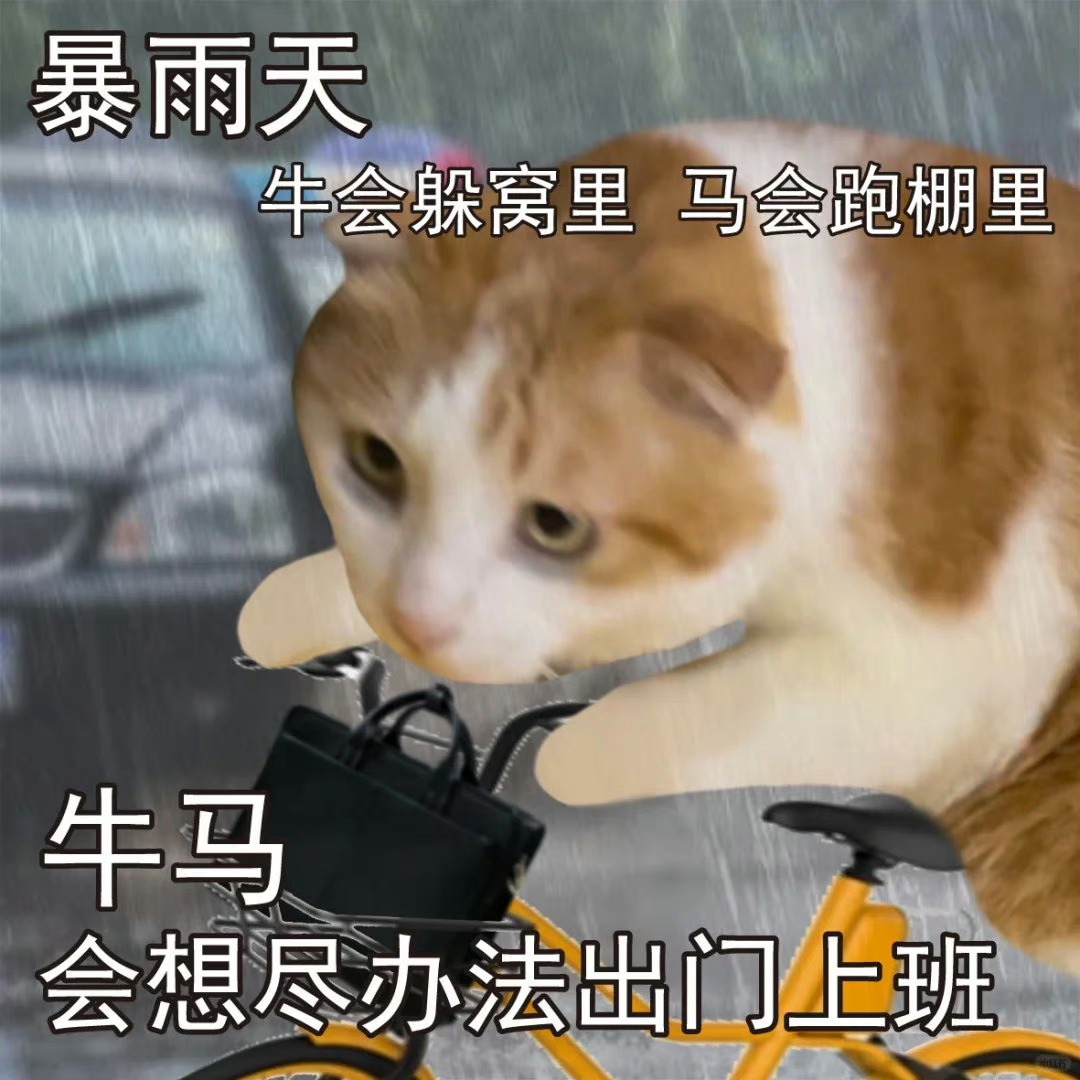 打开相册欣赏我的牛马2024 下雨了牛回躲窝里，马会跑棚里，牛马就不一样了会想尽