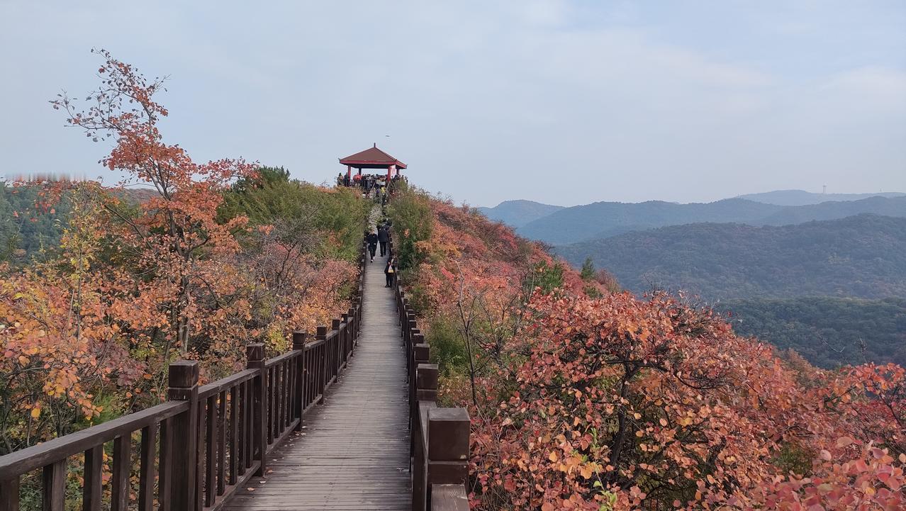 韩城香山红叶火了，但各种吐槽也来了，其实这个问题多年前已经预见，要进行大规模的道