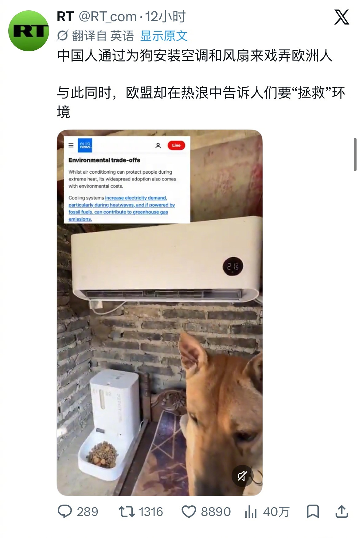 RT这个恶魔 