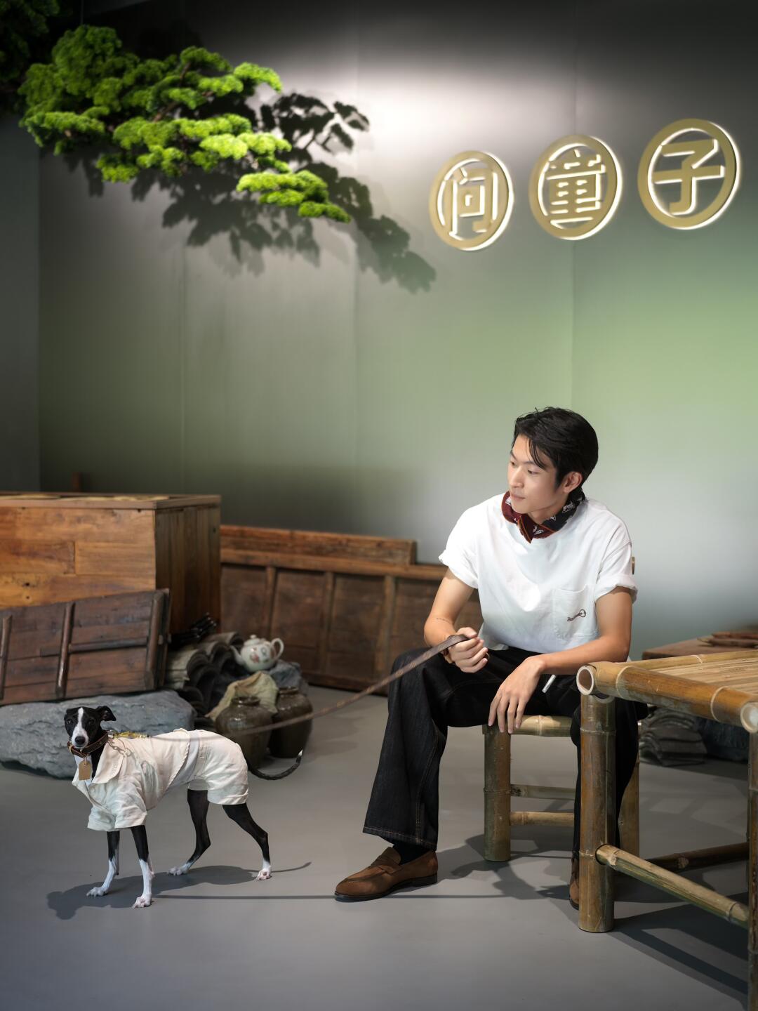 问童子15周年，走，看看去！