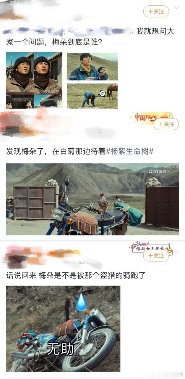 上一个给摩托车起名的还是杨丞琳 梅朵：我虽是铁骨，但也陪你看过藏地的风与雪，我也
