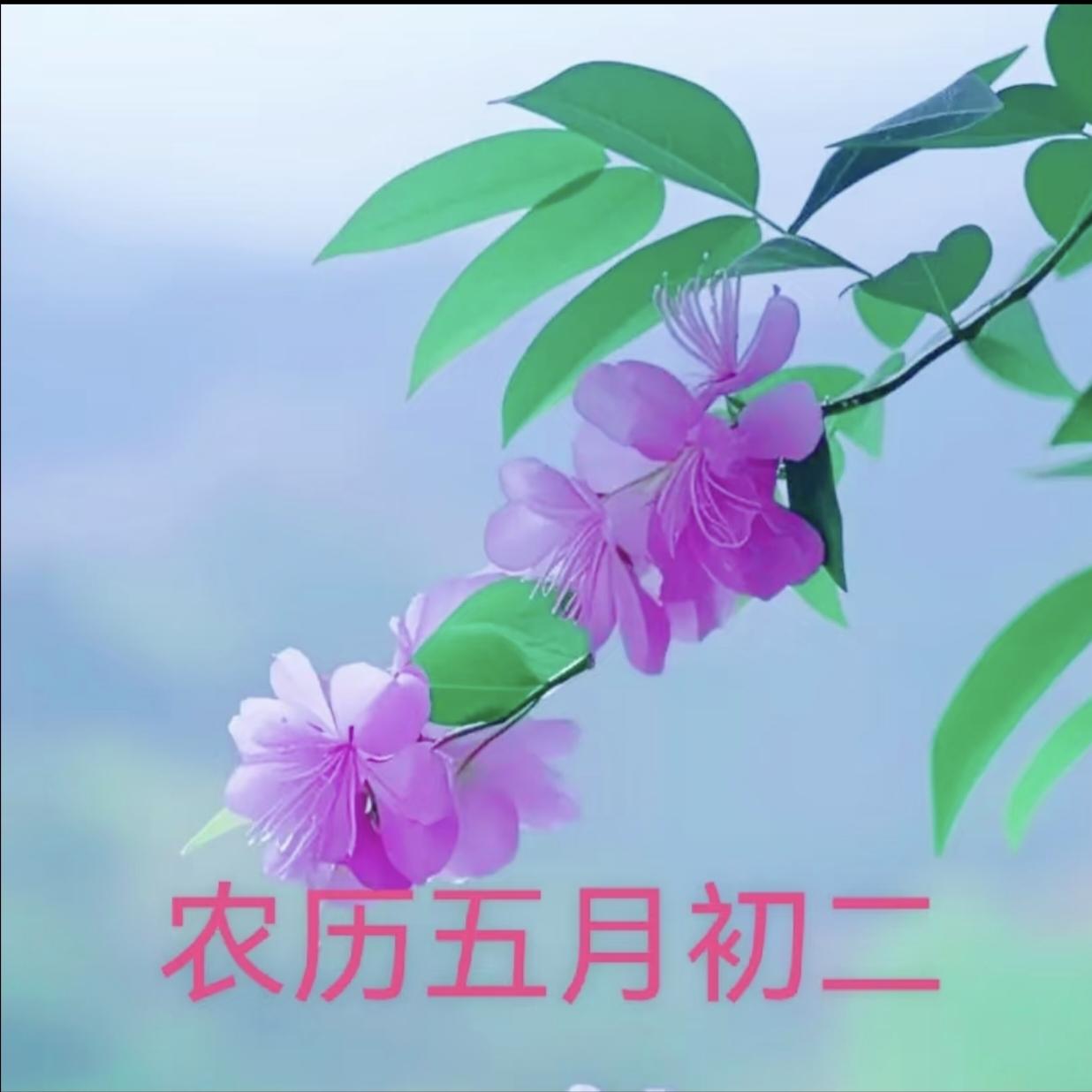 不是迷信！明日五月初二，牢记：1不去、2不睡、3不坐，别大意

翻了眼老黄历才反