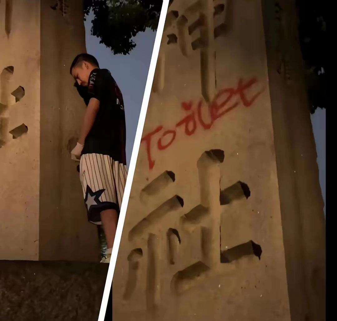 铁头的做法是否真的合适呢？
首先每一名国人看着应该是很解气，铁头在靖国神社小便，