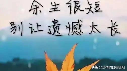 昨晚跟儿子聊天，说他买的那个馅饼和小笼包真好吃，想给独居的82岁老母亲也安排上。
