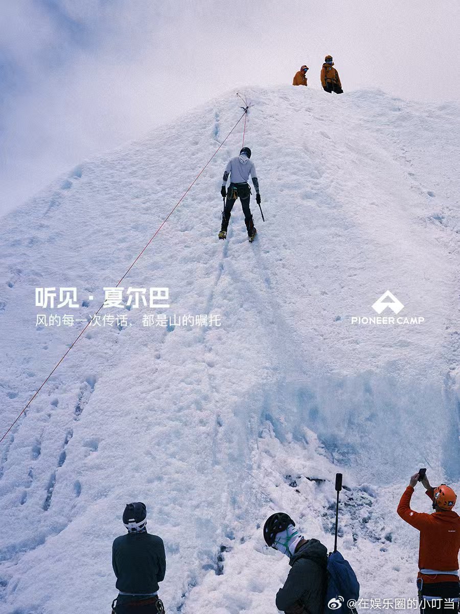 拓路者与山共生做拓路者越万重山  湛江的山风里藏着共生的密码湛江的山不似北方凌厉