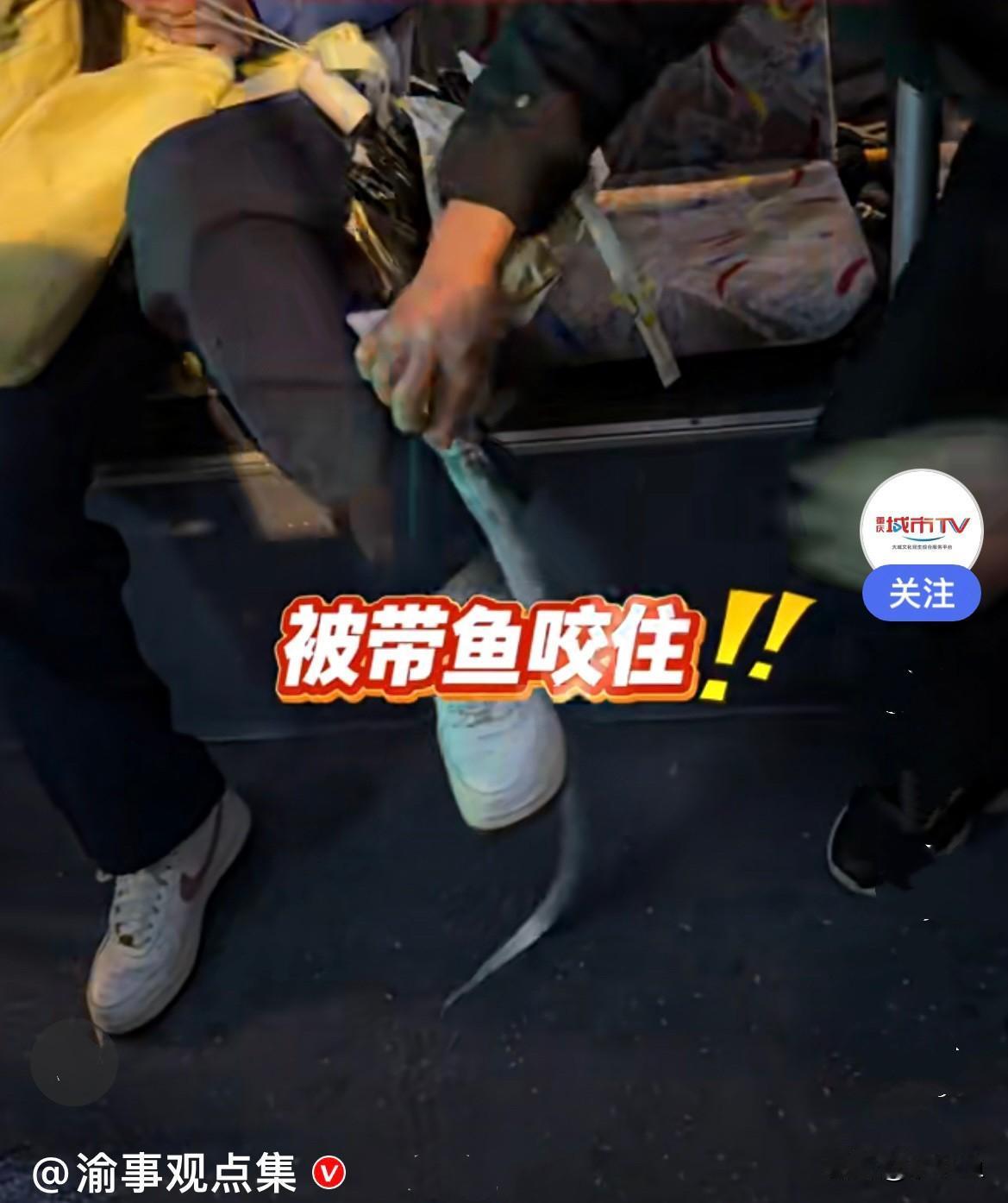 近日，江苏南京公交车上发生了一件有趣的事儿……
    一女孩坐公交车前面的座位