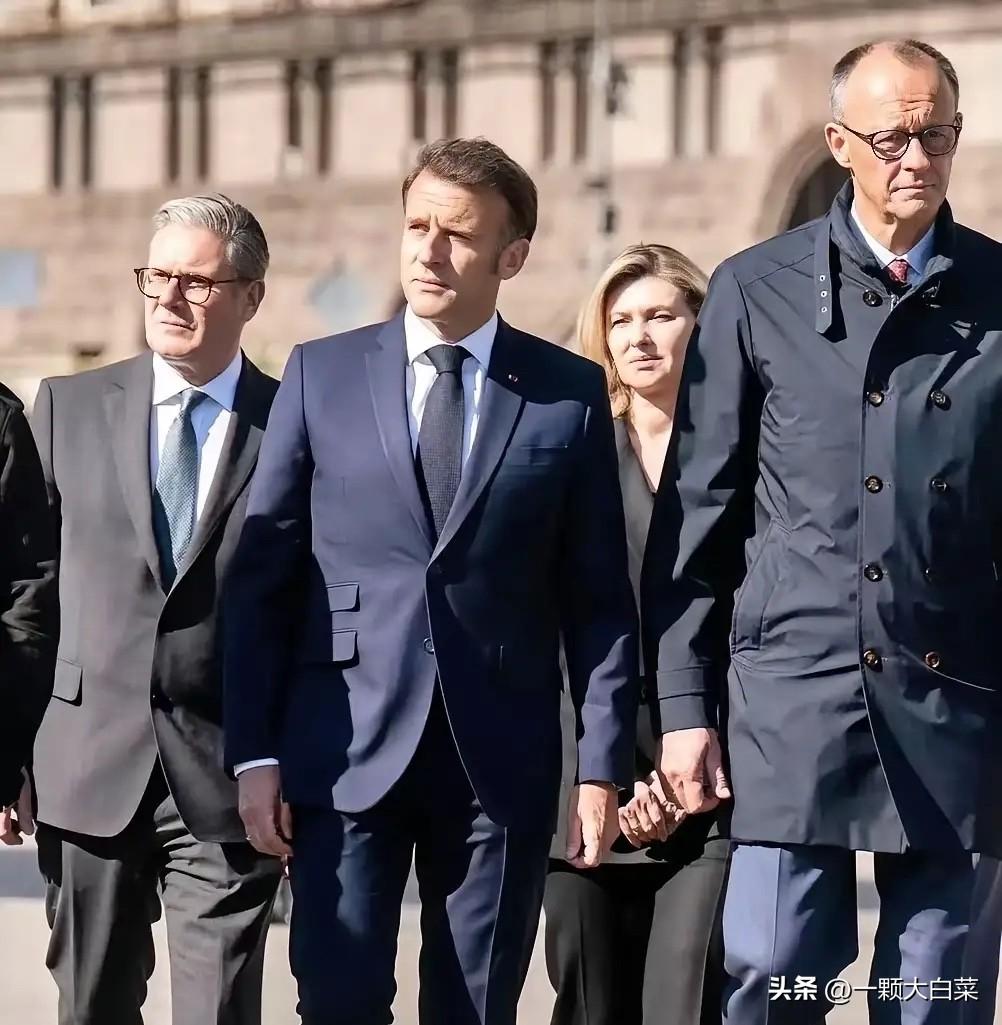 一觉醒来，反转了！法国、德国、日本、英国、意大利和荷兰发布联合声明，纷纷表态要协