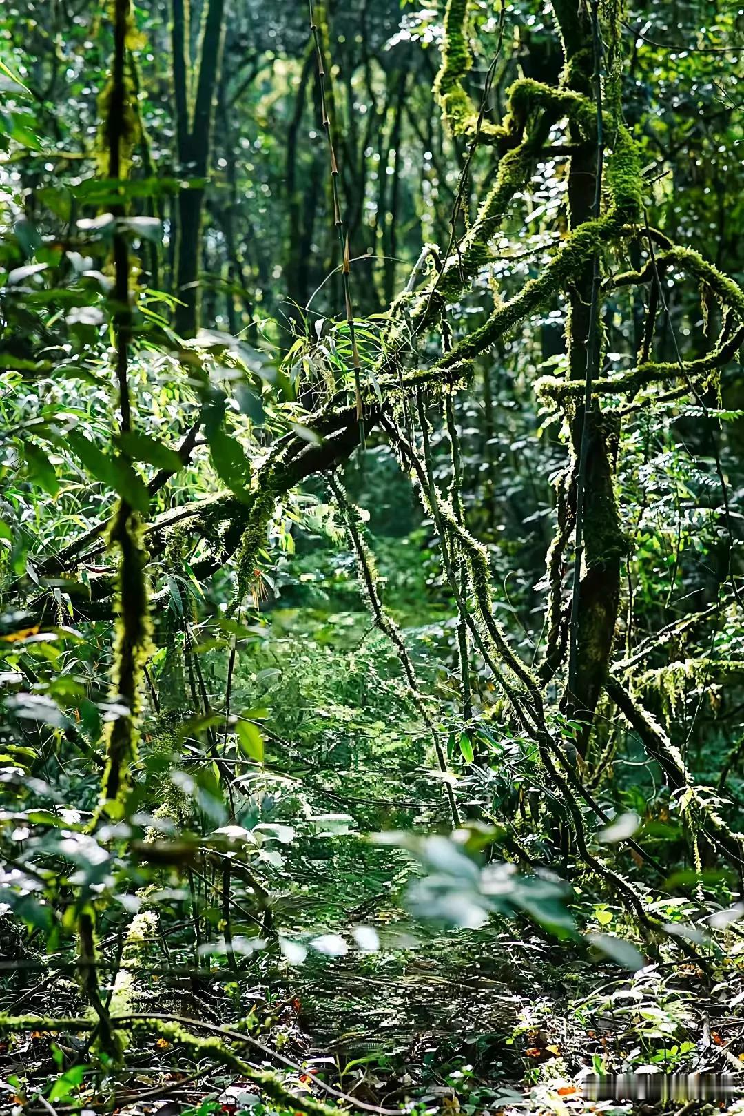 Keep moving forward toward a goal, keep 