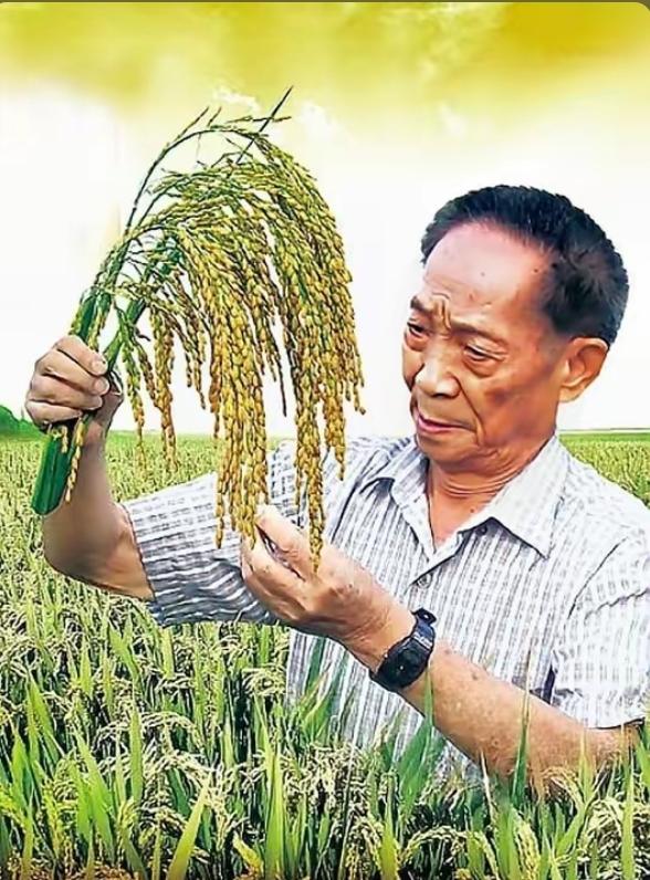 这个问题一出来，很多人会下意识对比财富、名气，但真正放在国家与民族的维度上，答案