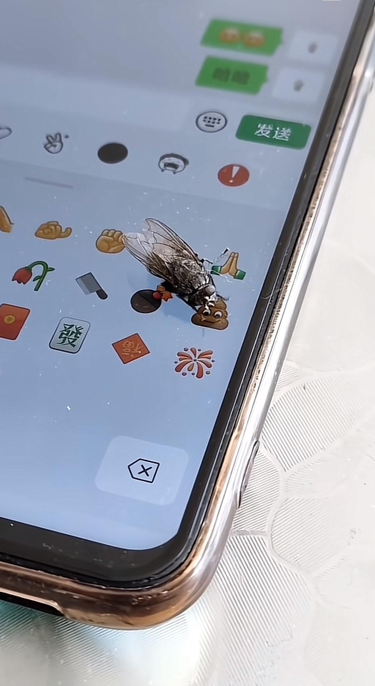 这才叫真正的眼馋肚饱。。。