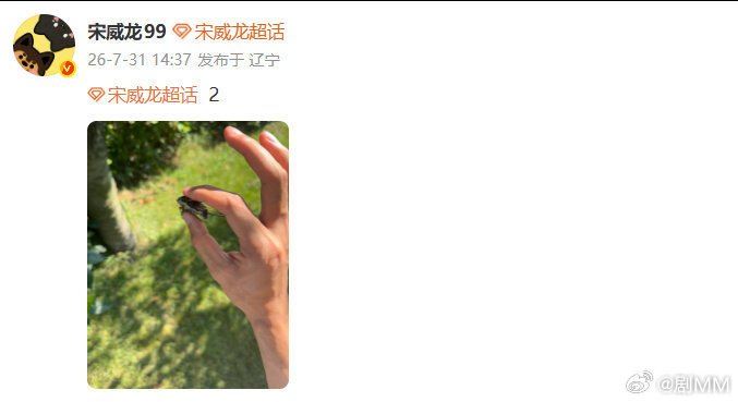 宋威龙手抓知了 宋威龙手抓知了，我的天咧！宋威龙抓知了又放了