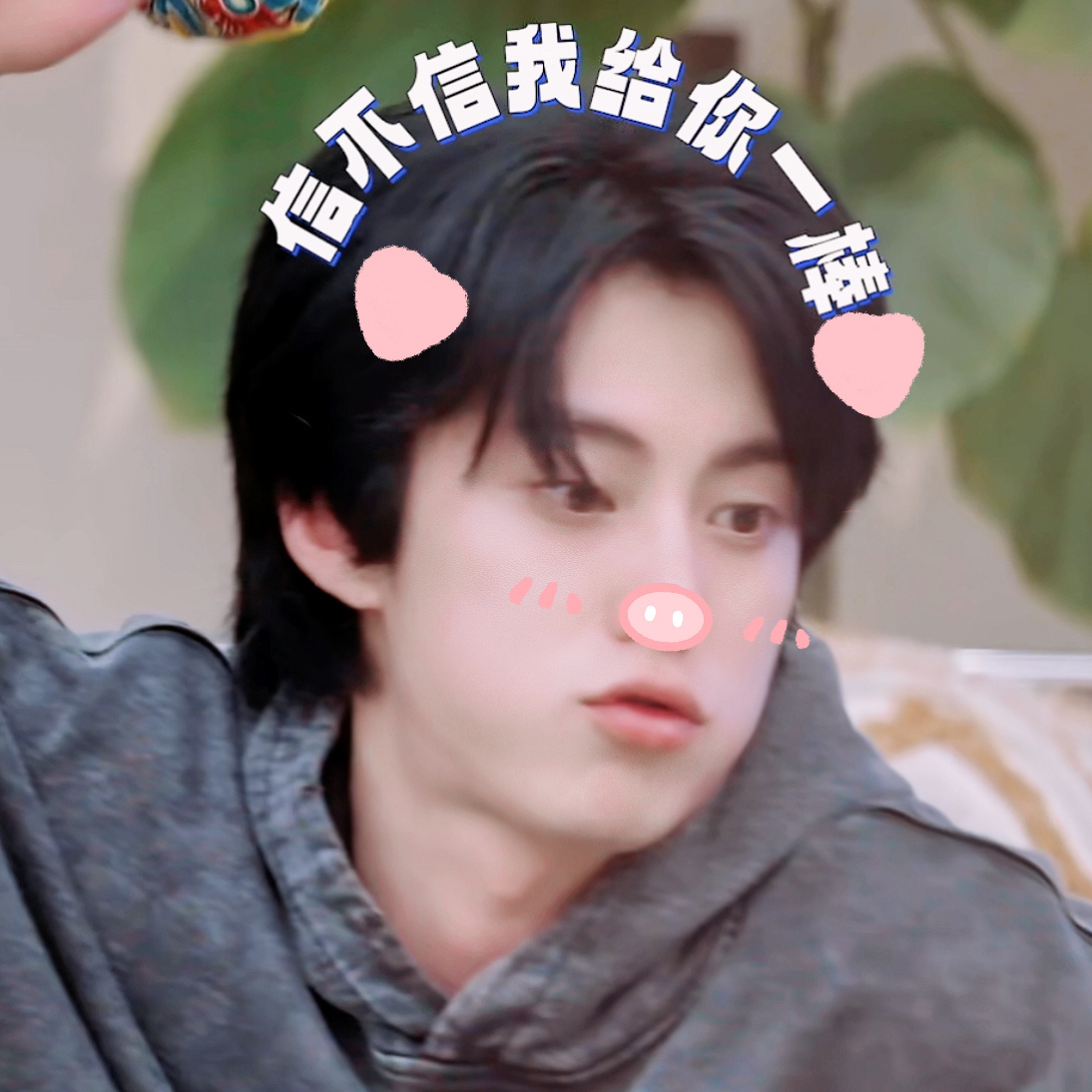 想猪 
