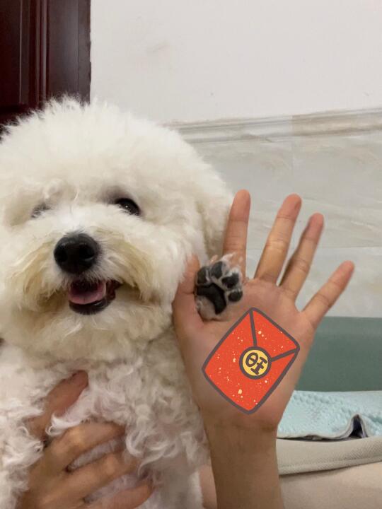 我保证永远爱麻麻！